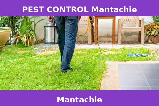 PEST CONTROL Mantachie
